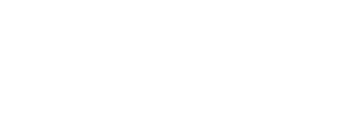 上野椅子張店